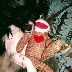 Meet your Posher, Kaitlin